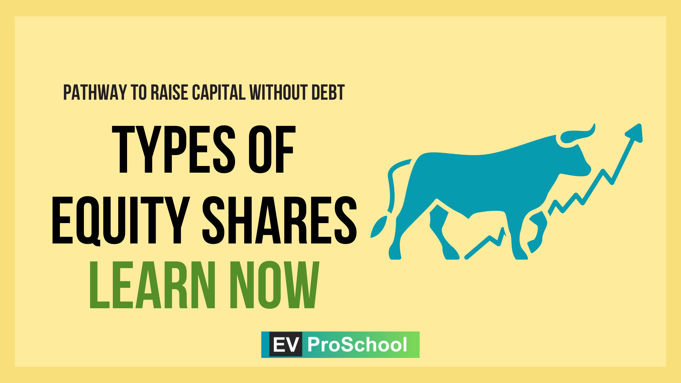 Dynamics of Equity Finance in the EV sector.